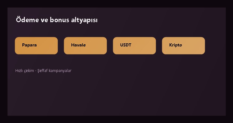 Ödeme yöntemleri ve kampanya özetini anlatan görsel